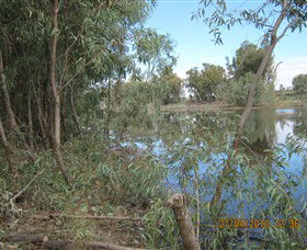 Thegoa Lagoon And Reserve - Gold Coast 4U 1