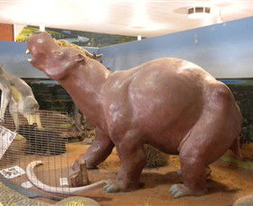 Wentworth Pioneer Museum - Gold Coast 4U 6