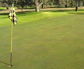 Wentworth Sporting Complex - Gold Coast 4U 0