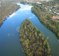 Sturt's Tree - Gold Coast 4U