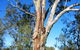 ODonnell Park At Curlwaa - thumb 2