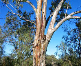 ODonnell Park At Curlwaa - Accommodation Gold Coast 2