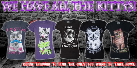 Gallery Serpentine - 1 Gold Coast 10