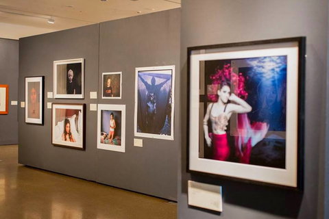 Pinnacles Gallery - Accommodation Gold Coast 1