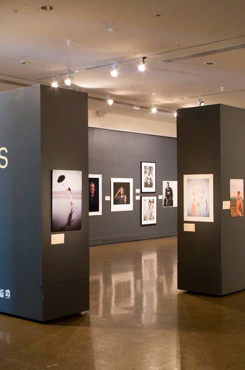 Pinnacles Gallery - Accommodation Gold Coast 3