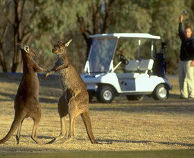 Coomealla Golf Club - Gold Coast 4U 2