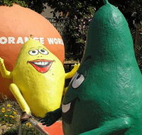 Orange World - Accommodation Gold Coast