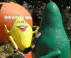 Orange World - Accommodation Gold Coast 0
