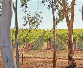 Trentham Estate Winery - Accommodation Gold Coast 4