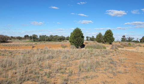 Zanci Pastoral Loop - Accommodation Gold Coast 3