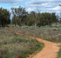 Grasslands Nature trail - Accommodation Gold Coast
