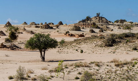 Walls Of China - 1 Gold Coast 2