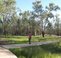 Ben Scott Memorial Bird Trail - Accommodation Gold Coast