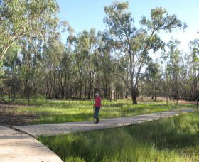 Ben Scott Memorial Bird Trail - Accommodation Gold Coast 0