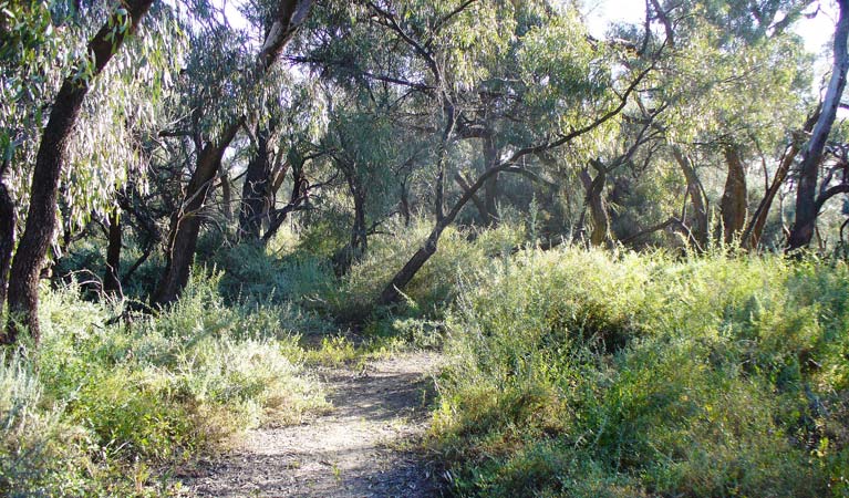 Monia Gap NSW Accommodation Gold Coast