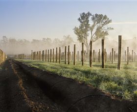 Andrew Peace Wines - Accommodation Gold Coast 5