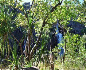 Manngarre Rainforest Walk - 1 Gold Coast 1