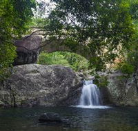 Paluma and Crystal Creek Rainforest - Accommodation Gold Coast