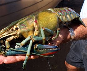 Fairbairn Dam, Lake Maraboon - Accommodation Gold Coast 3