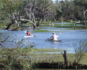 Marsh Meanders - Accommodation Gold Coast 2