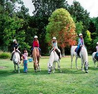 Limestone Coast Horseriding - Accommodation Gold Coast