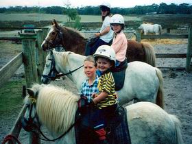 Limestone Coast Horseriding - Accommodation Gold Coast 1