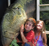 Australian Opal Centre - 1 Gold Coast