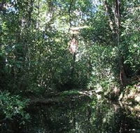 Wabunga Wayemba Charmillan Creek walking track - Gold Coast 4U