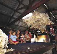 Shear Outback the Australian Shearers Hall of Fame - Accommodation Gold Coast