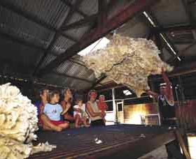 Shear Outback The Australian Shearers Hall Of Fame - Accommodation Gold Coast 0
