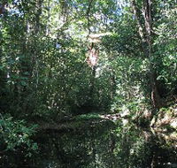Misty Mountains Wilderness Walking Tracks - Gold Coast 4U