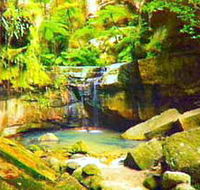 Carnarvon Gorge Carnarvon National Park - Accommodation Gold Coast