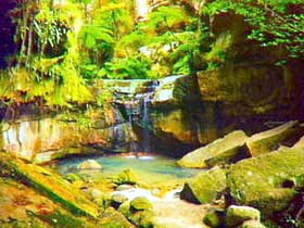 Carnarvon Gorge, Carnarvon National Park - Accommodation Gold Coast 0