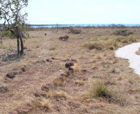 Wurrwurrwuy (Garanhan) Macassan Beach Interpretive Walk - 1 Gold Coast 5