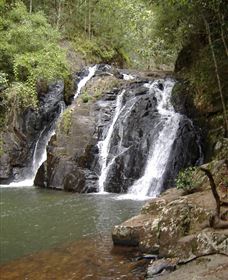 Pepina Falls - Accommodation Gold Coast 0