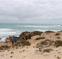 The Seaview Walking Trail - Accommodation Gold Coast