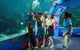 Reef HQ Aquarium - thumb 2
