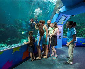 Reef HQ Aquarium - Accommodation Gold Coast 2