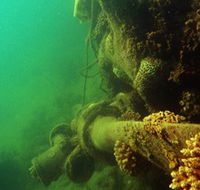 Wreck Diving at Magnetic Island - Accommodation Gold Coast
