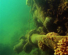 Wreck Diving At Magnetic Island - Accommodation Gold Coast 0