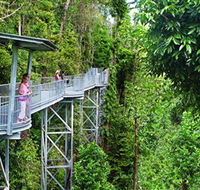 Mamu Tropical Skywalk - Accommodation Gold Coast