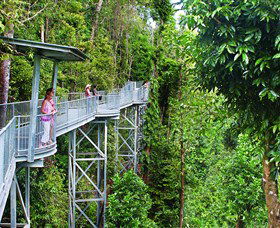 Mamu Tropical Skywalk - Accommodation Gold Coast 0