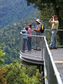 Mamu Tropical Skywalk - Accommodation Gold Coast 2