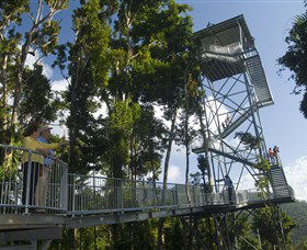 Mamu Tropical Skywalk - Accommodation Gold Coast 1