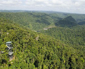 Mamu Tropical Skywalk - Accommodation Gold Coast 3