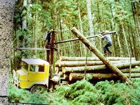 Nangwarry Forestry And Logging Museum - Accommodation Gold Coast 3