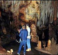 Tantanoola Caves Conservation Park - Accommodation Gold Coast