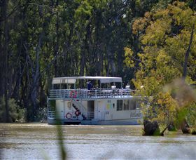 Wetlander Cruises - Accommodation Gold Coast 2