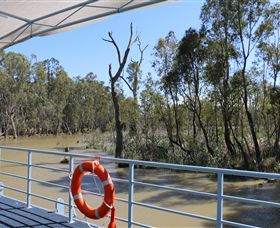 Wetlander Cruises - Accommodation Gold Coast 6