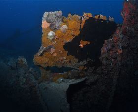 Lady Bowen Dive Site - Accommodation Gold Coast 0